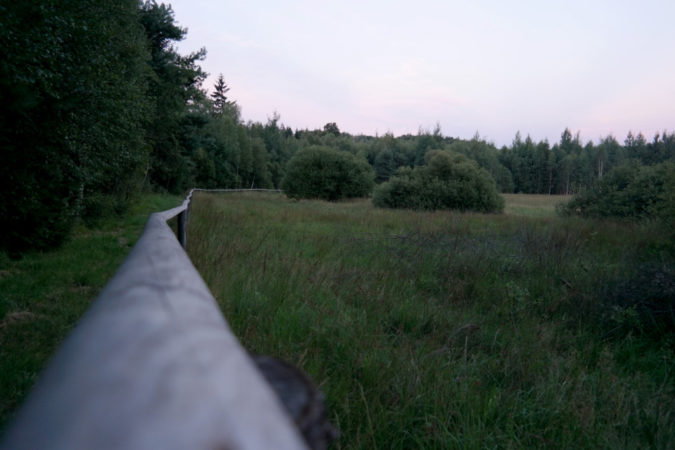 Dämmerung im Lauschemoor