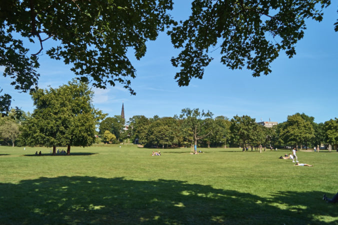 Im Alaunplatz ist immer etwas los!