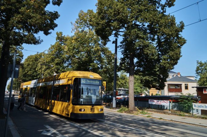 In Tolkewitz kann man direkt an einer Allee wohnen und ist durch die Straßenbahn angebunden