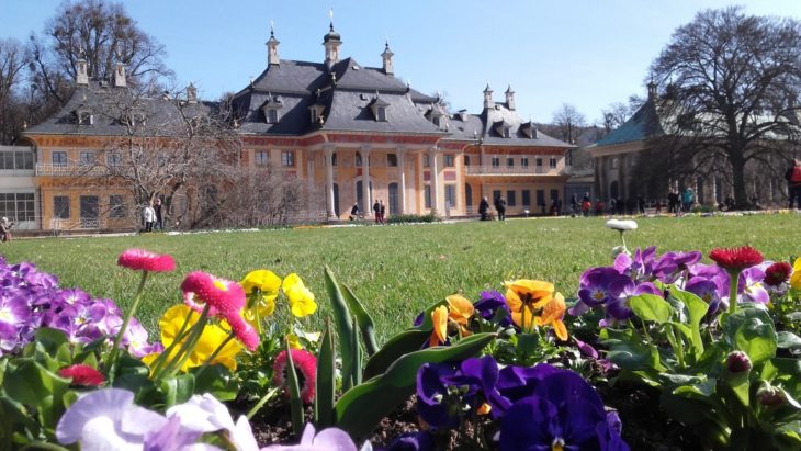 Das Schloss Pillnitz.