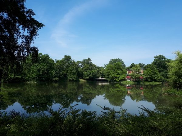 Hier könnt ihr zu Zweit mit dem Boot über den Carolateich schippern.