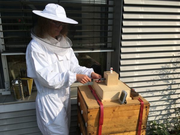Dank des Imkervereins Dresden konnten die Forscher der TU Dresden die Luft der Bienenstöcke erstmals intensiver untersuchen. | Bild: TU Dresden/ Cindy Henker