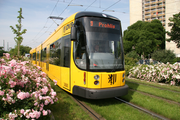 ©DVB – Achte die nächste Zeit auf die Schienen in Dresden. Du wirst oft den grünen Rasen bemerken!