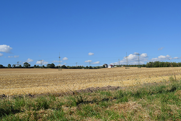 Landschaft in Mockritz