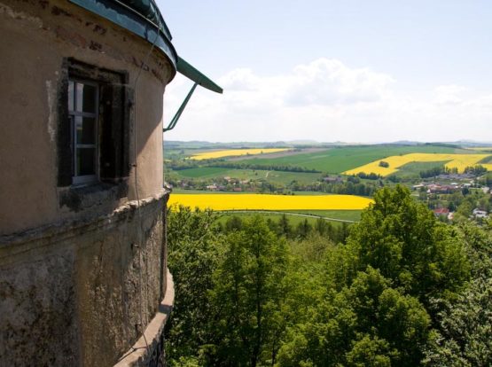 Turm und Rapsfelder