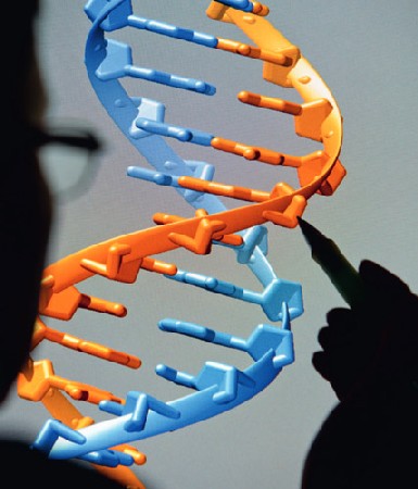 Dresdner Forscher lernen von der Natur: DNA-Befehle dienen ihnen als Baupläne für selbstkonstruierende Elektronik. Visualisierung: cfaed/ TUD