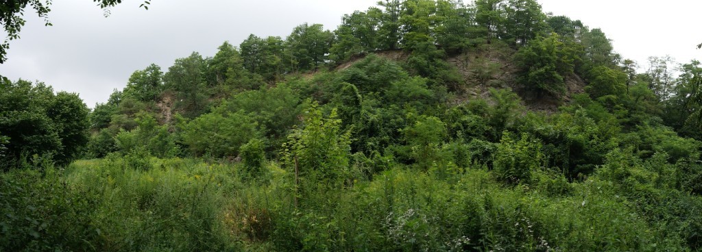 Steinbruch mit ehemaligem Bunker in der Dresdner Heide