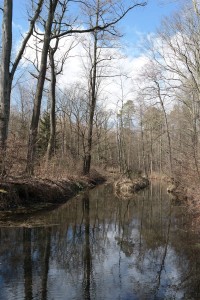 Forellenteiche in der Dresdner Heide