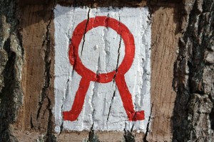 Oberringel in der Dresdner Heide