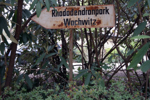 Am Rhododendronpark Dresden-Wachwitz