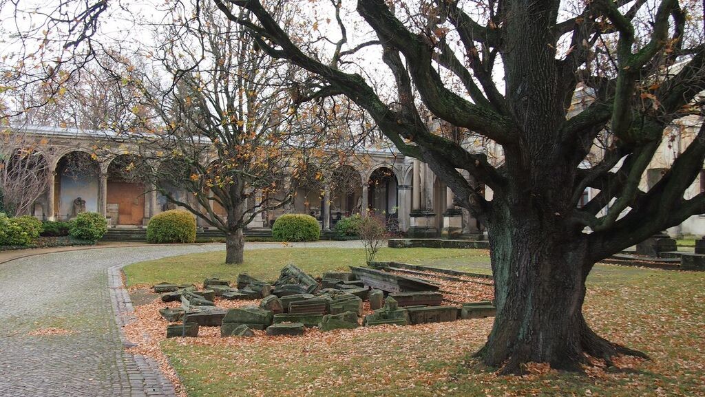 Bäume wie aus einem Märchen auf dem Neuen Annenfriedhof