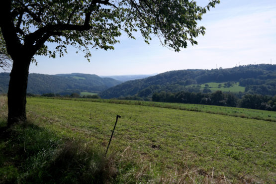 Blick von der Kirschallee in Maxen