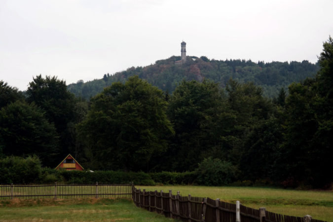 Blick auf den Hochwald mit Aussichtsturm