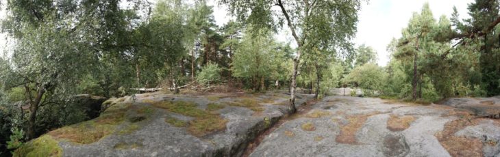Auf dem Langenhennersdorfer Labyrinth