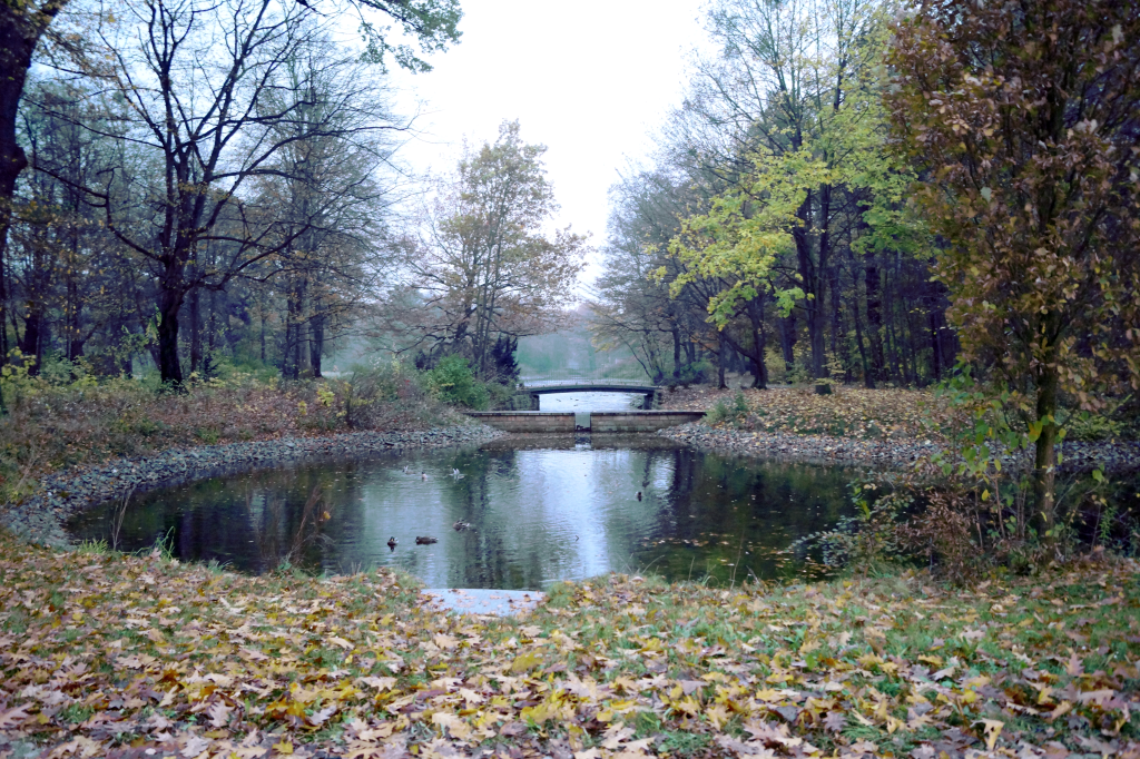 Der Große Garten befindet sich in unmittelbarer Nähe