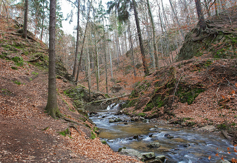 Wasserfall der Prießnitz bei Klotzsche. © Kolossos, CC BY-SA 2.5