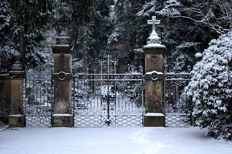 Waldfriedhof in der Nähe des Weißen Adlers