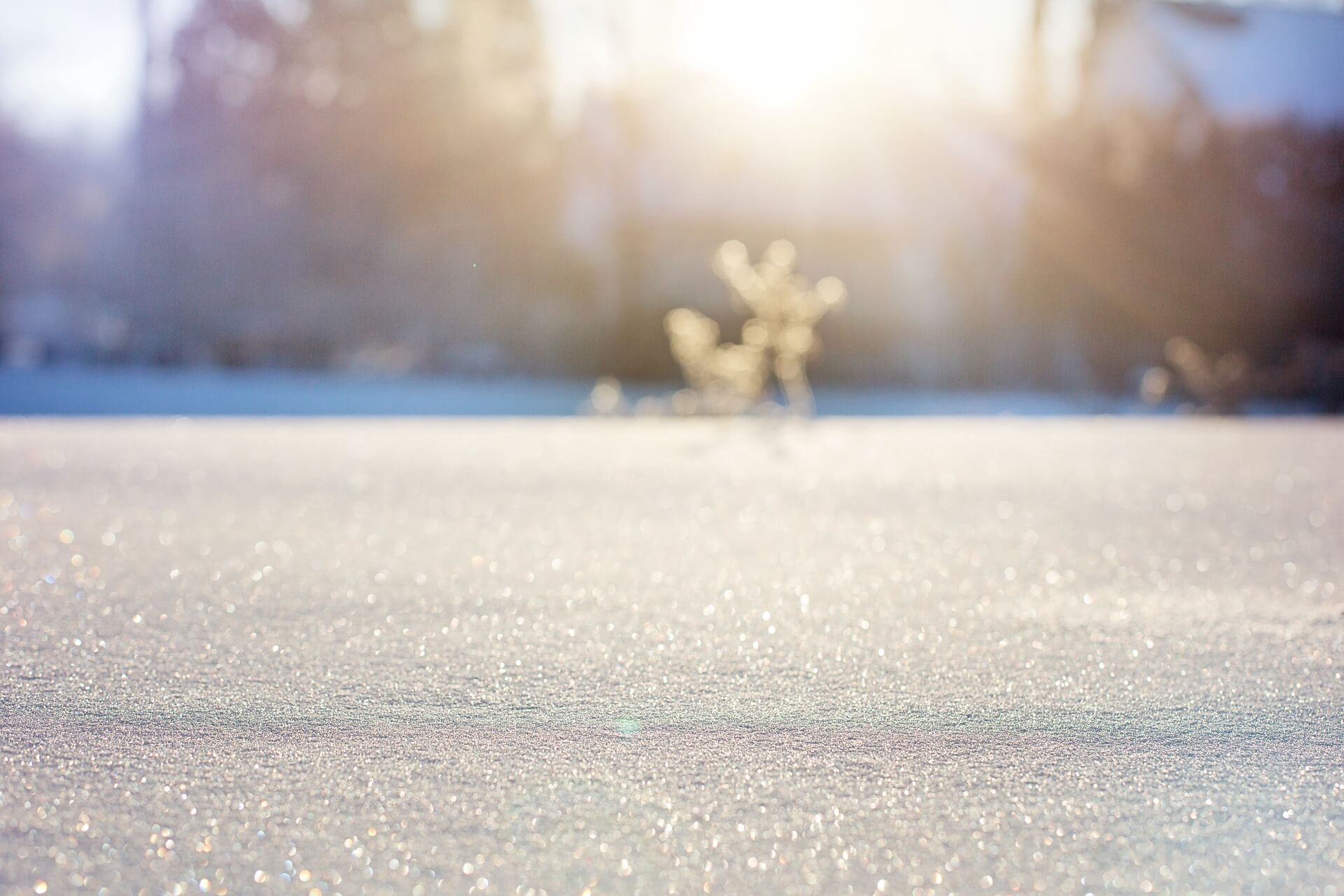 Raus in den Schnee!