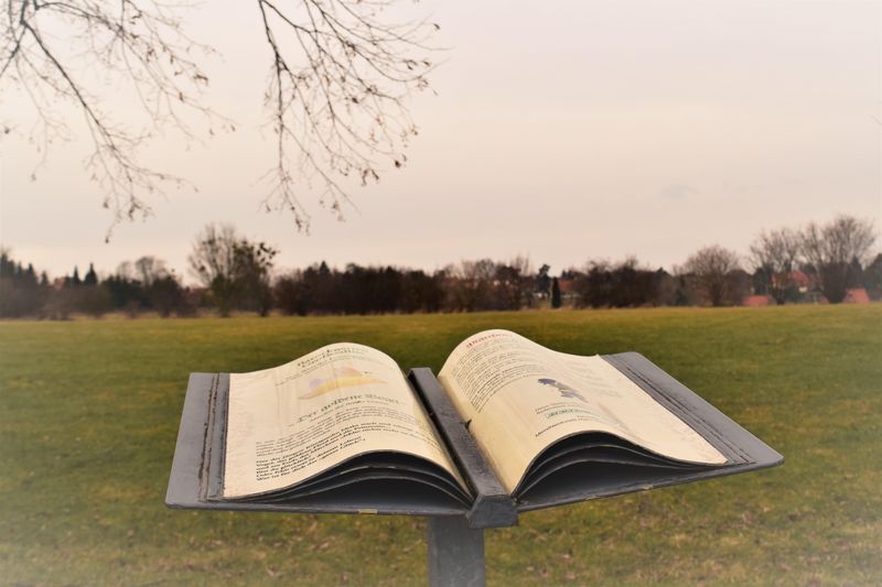 unnamed Märchenbücher laden zu einer Fantasie Reise ein