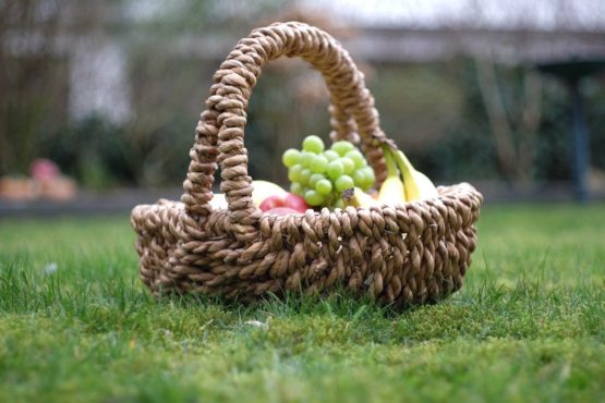 Picknick immer mit prall gefüllten Korb