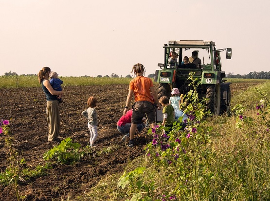 schellehof-struppen-september-2016-kartoffelernte-foto-c.förster Alle gemeinsam bei der Kartoffelernte auf dem Schellehof. | Foto: C.Förster